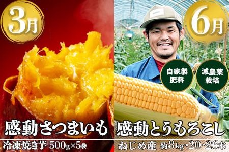 【定期便・年4回】農家の感動シリーズB (約16.4kg) FR-306｜冷凍焼き芋 ゴールドラッシュ 塩茹で落花生  紅はるか  野菜定期便