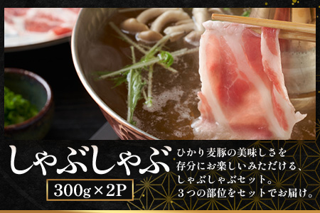 【ふるさと納税】鹿児島県産 ひかり麦豚【しゃぶしゃぶ 食べ比べ + とんかつ肉 + ハンバーグ】セット ≪合計1.1kg≫ HM-702  | 肉 お肉 にく 豚肉 ロース 肩ロース バラ肉 スライス 冷凍 産地直送 新鮮 送料無料 鹿児島県 南大隅町