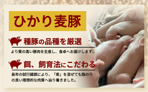 鹿児島県産 ひかり麦豚 しゃぶしゃぶ 焼肉 セット (300g×3パック) ≪計900g≫ ＋ 楽塩の粗びき塩こしょう HM-704 | 肉 お肉 にく 豚肉 ロース 肩ロース バラ肉 スライス 粗挽き 塩コショウ 冷凍 真空冷凍 産地直送 新鮮 小分け 甘み 鹿児島県 南大隅町 ひかり麦豚直売所