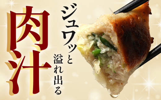 鹿児島県産 ひかり麦豚 ＼＼ちょっと大きな  餃子 42個セット／／ HM-707 | ぎょうざ ギョウザ 食べ応え抜群 焼き餃子 水餃子 おかず お弁当 冷凍 産地直送 鹿児島県 南大隅町 ひかり麦豚直売所