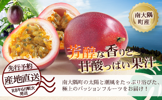 【2026年・先行予約】【訳あり品】家庭用パッションフルーツ1kg ( 約11～12個 )濱田農園 HB-707