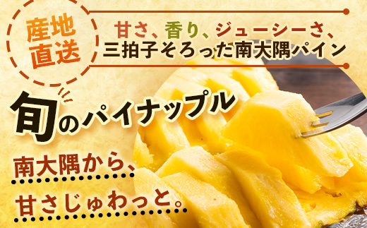 【先行予約・数量限定！】国産パイナップル　約3ｋg（3～5玉）～なか農園おまかせセット～ NK-001 ｜パイナップル パイン フルーツ 果物 くだもの 先行予約 数量限定 産地直送 新鮮 旬 ハワイ種 ピーチパイン ゴールドダイヤモンド ボゴール なか農園 鹿児島県 南大隅 
