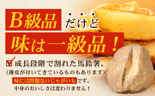 【先行予約】【B級品】(割れ) じゃがいも 馬鈴薯 (バレイショ) ≪2L～L≫ 約10kg×1箱 /ニシユタカ (約30個) ≪2026年3月20日頃より順次発送≫ CS-2 |  家庭用 南大隅町産 産地直送 旬 ポテト ジャガイモ ばれいしょ 新じゃが 春じゃが 春作 国産 鹿児島県 南大隅町 地域商社推進機構