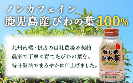 鹿児島県産 ねじめびわ茶 ボトル缶 2ケース 24本入り×2ケース ノンカフェイン TO-407 | 国産 お茶 健康茶 ポリフェノール 無香料 無着色 さわやか 甘み 香ばしい おいしい びわの葉 トルマリン石焙煎 産地直送 鹿児島県 南大隅町 十津川農場
