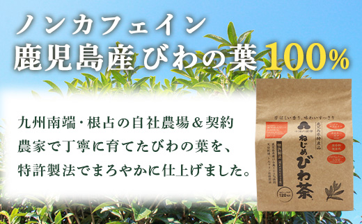ねじめびわ茶120包入＆スティックゼリー30本入　セット　TO-516