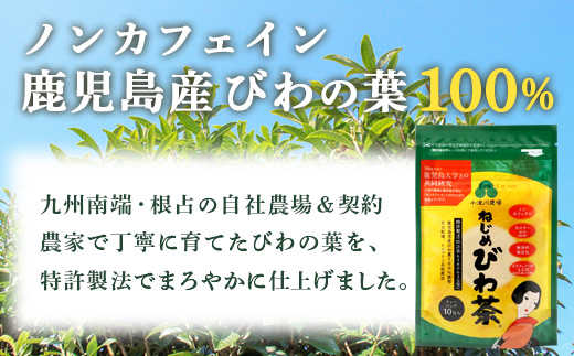 ねじめびわ茶１０包入とねじめびわ茶麺４束  セット  TO-519-NP｜ねじめびわ 茶 お茶 びわ 麺 めん 乾麺 和風 洋風 中華風 びわ茶 ラー麦 コシ のどごし 温麺 冷麺 鹿児島県 南大隅町 十津川農場
