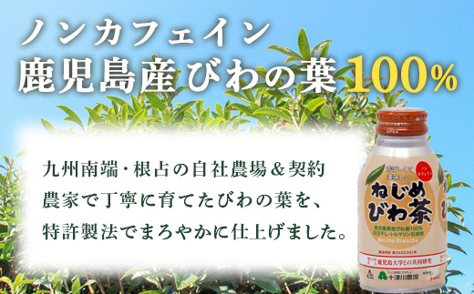 【 定期便 全3回 】ねじめびわ茶 ボトル缶 48本 (24本入り×2箱) 2か月おきにお届け TO-524｜国産 お茶 健康茶 カロリーゼロ 無香料 無着色 ポリフェノール さわやか 甘み 香ばしい おいしい トルマリン石焙煎 びわの葉 大容量 産地直送 鹿児島県 南大隅町 十津川農場