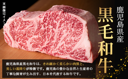 生粋の和食料理人がつくる ＼＼ 鹿児島県産 黒毛和牛 ローストビーフ／／ ≪500g×1≫ 手作り 牛蒡ばるさみこそーす(バルサミコソース)100g付き GN-1｜鹿児島県 南大隅町 ローストビーフ 牛肉 リブロース 銀シャリ中はら