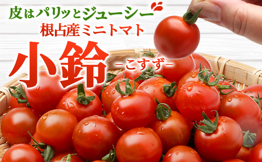 [数量限定]ミニトマト２種食べ比べセット(350g×２種) GP-3｜ミニトマト 野菜 やさい 食品 人気 おすすめ 美味しい 産地直送 小鈴 シュガープラム 食べ比べ セット
