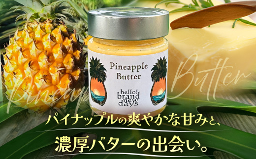 絶品！南大隅町産 【パイナップルバター】約160g× 2瓶 HB-3 ｜パイナップル バター フルーツ ジャム 加工品 スプレッド 国産 南国フルーツ 手作り 鹿児島県 南大隅町 hello! brand new days　