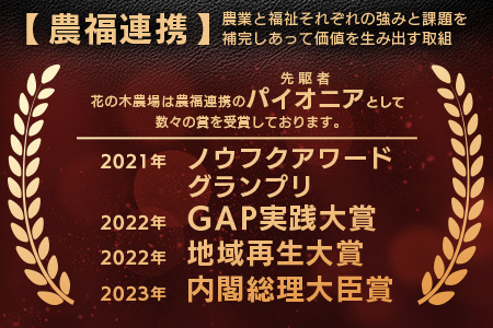 花の木農場 鹿児島県産 豚骨 約1kg（500g×2パック）HK-15｜ 豚肉 とんこつ 精肉 冷凍 国産 お肉 だし 煮物 角煮風 コラーゲン スープ 和食 中華 農福連携 鹿児島県 南大隅町 第2花の木ファーム