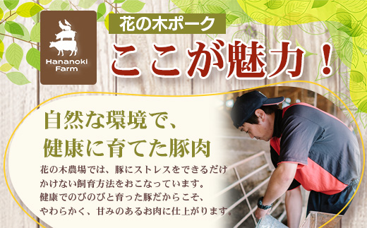《全6回定期便》<2ヶ月に１回お届け> 花の木農場【ハム詰め合わせセット】7種 計1,000g HK-19│定期便 ハム ベーコン クラフトハム 人気 南大隅町 第2花の木ファーム ノウフク ソーセージ 詰め合わせ セット ウインナー 国産 厳選