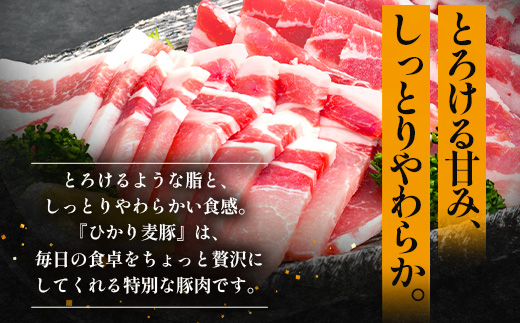 【定期便全3回】ひかり麦豚 わんぱく定期便 ≪月替わりで焼肉・ハンバーグ・餃子をお届け！≫ 冷凍 HM-10 | 肉 お肉 にく 豚肉 焼き肉 ロース肉 肩ロース バラ肉 ハンバーグ ギョウザ ぎょうざ 真空冷凍 産地直送 小分け パック 手作り 鹿児島県 南大隅町 ひかり麦豚直売所