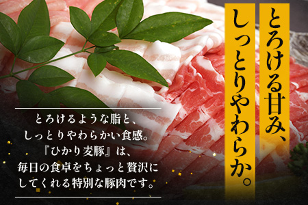 鹿児島県産 ☆＼＼ ひかり麦豚 バラエティーセット ／／☆ しゃぶ肉/ロース肉/バラ肉/ハンバーグ/メンチカツ/餃子 HM-13 | 肉 お肉 にく 豚肉 ロース 衣付き 真空冷凍 新鮮 小分け 産地直送 鹿児島県 南大隅町