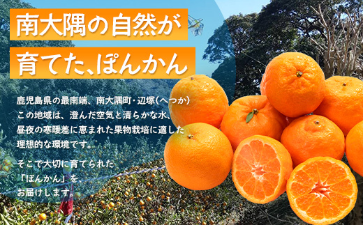 【先行予約】南大隅の太陽浴びた甘くて・おいしい ぽんかん 約5kg【2026年1月中旬以降順次発送】 ID-1 ｜ぽんかん ポンカン 柑橘 甘い 果物 新鮮 産地 直送 先行予約 おすすめ 人気 南大隅町