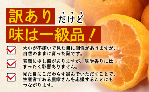 【訳あり】《先行予約》南大隅の太陽浴びた甘くて・おいしい ぽんかん 約5kg【数量限定】＜2026年1月中旬以降順次発送＞ ID-2｜訳あり 訳アリ ぽんかん ポンカン 柑橘 カンキツ 柑橘類 詰め合わせ 産地直送 先行予約 おすすめ 人気 南大隅町