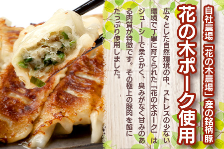 花の木農場【ニラ餃子】50個 HK-502｜ぎょうざ ギョーザ ギョウザ 餃子 揚げ餃子 スープ餃子 冷凍餃子 ニラ キャベツ 肉 豚肉 冷凍 冷凍食品 惣菜 弁当 おかず 工場直送 簡単調理 国産 厳選 ノウフク 第2花の木ファーム