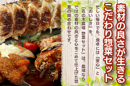 花の木農場【人気惣菜セット】３種 HK-504｜惣菜 餃子 ぎょうざ 冷凍 ハンバーグ ハムコロッケ コロッケ 冷凍 工場直送 簡単調理 国産 厳選 ノウフク 鹿児島県 南大隅町 第2花の木ファーム