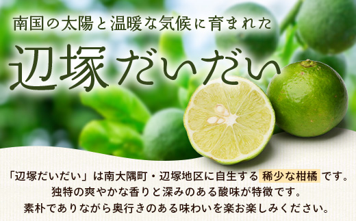 辺塚だいだい 約10kg NK-3｜果物 柑橘 辺塚だいだい へつか 産地直送 詰め合わせ 10kg 国産 新鮮 おすすめ 人気 南大隅町
