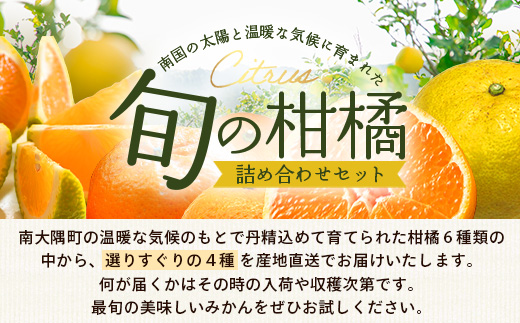 【数量限定】おたのしみ！旬の柑橘詰め合わせセット(４種約５kg) NK-4 ≪2026年1月中旬より準備が出来次第発送≫｜果物 柑橘 大将季 ぽんかん スイートスプリング 津之輝 麗江 サワーポメロ 南大隅町 産地直送 詰め合わせ 5kg 国産 数量限定 