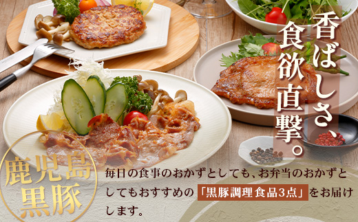 鹿児島県産 黒豚バラエティ詰合せ Bセット（ロース味噌漬け・生姜焼き・ハンバーグ）味付き 冷凍  NS-11 | ★☆＼＼黒豚ロース味噌漬け バナナマンの早起きせっかくグルメで紹介！！／／☆★ 加工肉 肉 お肉 豚肉 豚 ぶた かごしま黒豚 ロース肉 みそ漬け しょうが焼き ハンバーグ 国産 鹿児島県 南大隅町 南州農場