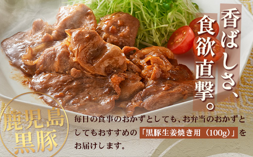 鹿児島県産 黒豚生姜焼き（100g×1パック） 味付き肉 冷凍 NS-20 | 鹿児島 黒豚 かごしま黒豚 お味見 お試し お一人様用 お肉 肉 豚肉 しょうが焼き 焼くだけ 味付き おかず お弁当 加工肉 真空パック 鹿児島県 南大隅町 南州農場