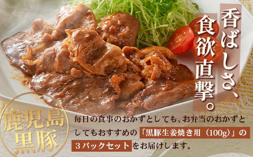 鹿児島県産 黒豚生姜焼きセット（100g×3パック）味付き肉 冷凍 NS-21 | 鹿児島 黒豚 かごしま黒豚 お肉 肉 豚肉 しょうが焼き 焼くだけ 味付き おかず お弁当 加工肉 真空パック 鹿児島県 南大隅町 南州農場