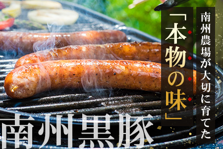 鹿児島県産 BBQ-BOXⅠ ハム ソーセージ ベーコン 詰め合わせ セット NS-24 | かごしま 黒豚 生ハム ボロニア ウインナー ソース ジャーキー おつまみ バーベキュー 焼き肉 低添加製法 冷蔵 鹿児島県 南大隅町 南州農場