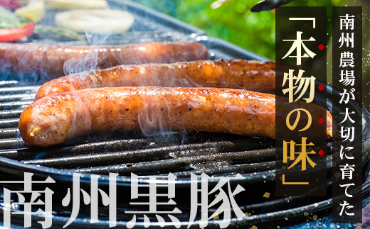 鹿児島県産 BBQ-BOX Ⅱ ハム ソーセージ ベーコン 詰め合わせ セット NS-25 | かごしま 黒豚 生ハム ボロニア ウインナー ソース ジャーキー おつまみ バーベキュー 焼き肉 低添加製法 冷蔵 鹿児島県 南大隅町 南州農場