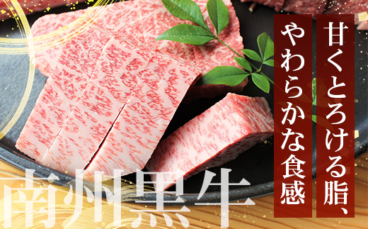 ≪全3回≫ 鹿児島県産 黒毛和牛 ◆ 贅沢 ステーキ 定期便 ◆ 南州黒牛 NS-27 ｜ 国産 牛 黒毛和牛 うし 牛肉 ロース サシ やわらかい 冷凍 ステーキ 肉定期便 定期便 鹿児島県 南大隅町 南州農場