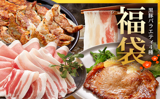 【福袋】黒豚バラエティ4種セット NS-32-fb ❘ かごしま黒豚 肩ロース ばら肉 しゃぶしゃぶ 味噌漬け 餃子 ぎょうざ ギョウザ 国産 野菜 セット ポン酢 南大隅町 鹿児島県 南州農場