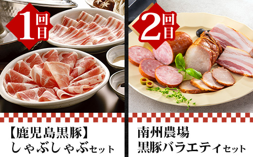 【全12回】至福の かごしま黒豚 味わい定期便 NS-37 | 鹿児島 かごしま 豚 豚肉 ぶた おかず しゃぶしゃぶ 餃子 味噌漬け 生ハム 生姜焼き ハンバーグ ウインナー ハム ソーセージ 焼き豚 切り落とし もも肉 肩ロース バラ 人気 定期便 鹿児島県 南大隅町