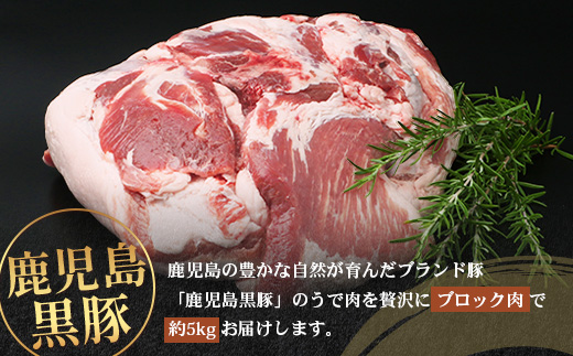 【南大隅町限定】かごしま黒豚 うでブロック（約5.0kg） NS-4 | 肉 豚肉 ぶた 豚 ブタ 黒豚 かごしま黒豚 うで ブロック 新鮮 産地直送 限定 鹿児島県 南大隅町 南州農場