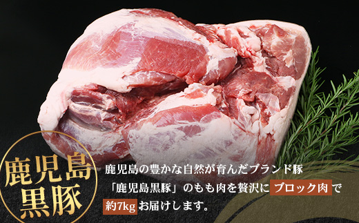 【南大隅町限定】かごしま黒豚 ももブロック（約7.0kg）NS-5 | 肉 豚肉 ぶた 豚 ブタ 黒豚 かごしま黒豚 もも肉 モモ肉 ももブロック 赤身 新鮮 産地直送 限定 大容量 鹿児島県 南大隅町 南州農場