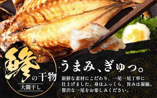 鹿児島県産 アジ 干物 大サイズ (2枚×2パック)  ≪合計4枚≫［1枚 約22～25センチ］PT-2 | 開き 大隅干し 冷凍 国産 鯵 ひもの 海鮮 新鮮 瞬間冷凍 産地直送 鹿児島県 南大隅町 ピットスリー