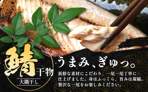鹿児島県産 サバ 干物 (半身分1枚入り)×3パック ≪合計3枚≫ PT-4 | 開き 大隅干し 冷凍 国産 鯖 ごまさば ひもの 海鮮 新鮮 瞬間冷凍 産地直送 加工品 朝ご飯 おかず グルメ 鹿児島県 南大隅町 ピットスリー