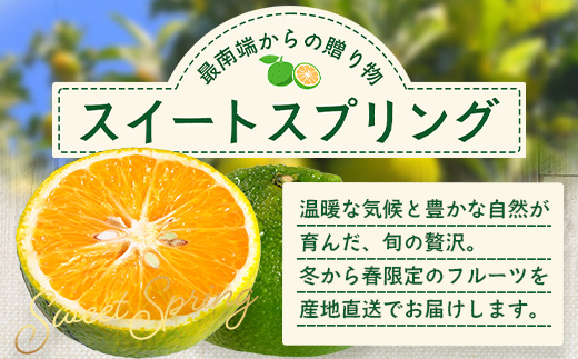 【訳あり】【数量限定】鹿児島県南大隅町産 スイートスプリング （S～M玉） 約5kg 【2025年12月中旬以降順次発送】 SK-19 | 柑橘 フルーツ 国産 果物 みかん 期間限定 数量限定 産地直送 もぎたて 新鮮 果汁 たっぷり ミカン スイートスプリング 5kg 南大隅町 鹿児島県 島子農園