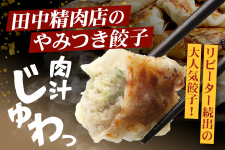 《リピーター続出！》佐多の田中肉屋 ニンニクたっぷりやみつき餃子 180個（12個入×15P） 餃子のタレ2本付き TA-1 | ぎょうざ 餃子 ギョウザ 豚肉 ひき肉 にんにく スタミナ餃子 焼くだけ 簡単 小分け 大容量 手作り お惣菜 おかず 冷凍 鹿児島県 南大隅町 田中精肉店