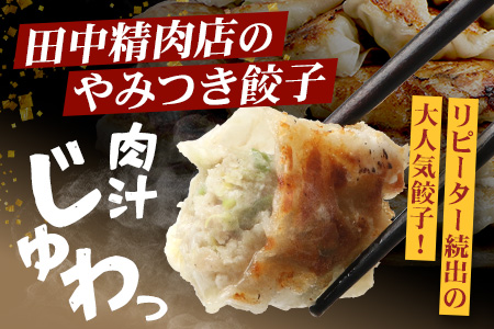 《リピーター続出！》佐多の田中肉屋 ニンニクたっぷりやみつき餃子 240個（12個入り×20パック） 餃子のタレ3本付き TA-2 | ぎょうざ 餃子 ギョウザ 豚肉 ひき肉 にんにく スタミナ餃子 焼くだけ 簡単 小分け 大容量 手作り お惣菜 おかず 冷凍 鹿児島県 南大隅町 田中精肉店