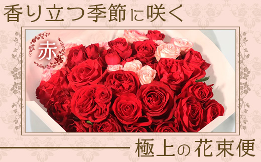 【人気の春・冬薔薇をお届け】 ばら農家直送 ！ バラ花束30本以上お届け(赤系) 【ギフト対応可】 ≪2026年1月1日～8日 日付指定不可≫ TB-13│ローズ 新鮮 花 フラワー 花束 ばら 薔薇 バラ 誕生日 記念日 結婚祝い ギフト プレゼント お祝い 贈り物 贈答 鹿児島県 南大隅町 富田バラ園