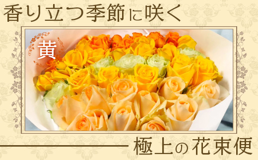 【人気の春・冬薔薇をお届け】 ばら農家直送 ！ バラ花束30本以上お届け(黄系) 【ギフト対応可】 ≪2026年1月1日～8日 日付指定不可≫ TB-15 │ ローズ 新鮮 花 フラワー 花束 ばら 薔薇 バラ 誕生日 記念日 結婚祝い ギフト プレゼント お祝い 贈り物 贈答 鹿児島県 南大隅町 富田バラ園