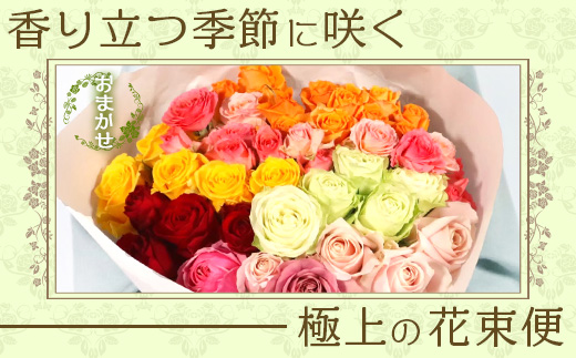 【人気の春・冬薔薇をお届け】 ばら農家直送 ！ バラ花束30本以上お届け(色はおまかせ) 【ギフト対応可】 ≪2026年1月1日～8日 日付指定不可≫ TB-16 │ ローズ 新鮮 花 フラワー 花束 ばら 薔薇 バラ 誕生日 記念日 結婚祝い ギフト プレゼント お祝い 贈り物 贈答 鹿児島県 南大隅町 富田バラ園