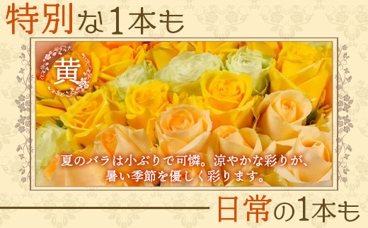 【先行予約・夏季限定 薔薇】ばら農家直送！バラ花束18本以上お届け(黄系)【ギフト対応可】TB-3│ローズ 新鮮 花 フラワー 花束 ばら 薔薇 バラ 誕生日 記念日 結婚祝い ギフト プレゼント お祝い 贈り物 贈答 鹿児島県 南大隅町 富田バラ園