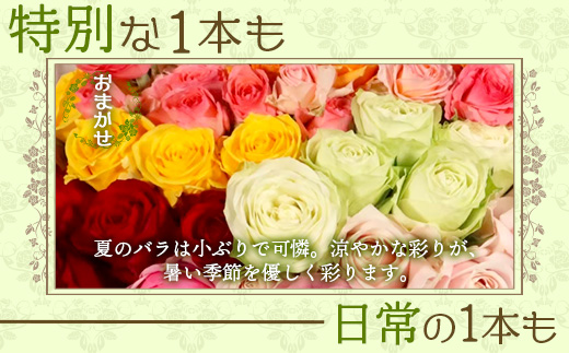 【先行予約・夏季限定 薔薇】ばら農家直送！バラ花束18本以上お届け(色はおまかせ)【ギフト対応可】TB-4│ローズ 新鮮 花 フラワー 花束 ばら 薔薇 バラ 誕生日 記念日 結婚祝い ギフト プレゼント お祝い 贈り物 贈答 鹿児島県 南大隅町 富田バラ園