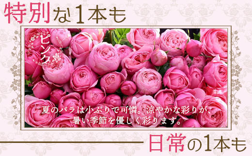 【先行予約・夏季限定 薔薇】ばら農家直送！バラ花束40本以上お届け(ピンク系) 【ギフト対応可】TB-6│ローズ 新鮮 花 フラワー 花束 ばら 薔薇 バラ 誕生日 記念日 結婚祝い ギフト プレゼント お祝い 贈り物 贈答 鹿児島県 南大隅町 富田バラ園