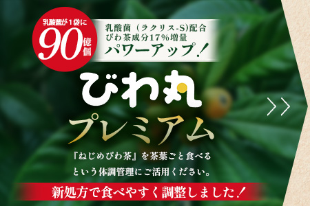 【定期便 全12回】≪12ヶ月連続で毎月お届け≫ びわ丸プレミアム ≪1回あたり(360粒入×1袋) ≫  健康補助食品 びわ茶含有加工食品  TO-15-NP| 国産 びわ茶 びわの葉 サプリメント 乳酸菌 ノンカフェイン ポリフェノール ネコポス 鹿児島県 南大隅町 十津川農場