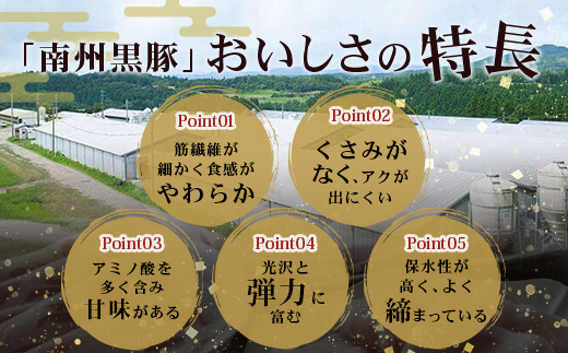 鹿児島県産 黒豚バラエティセットB 約550g (黒豚モモハムパストラミ200g×1・黒豚厚切りロースハム200g×1・黒豚ベーコン150g×1) NS-506 ❘ 肉 お肉 豚肉 豚 にく ぶた かごしま黒豚 モモ ロース 厚切りハム ベーコン 冷蔵 小分け 鹿児島県 南大隅町 南州農場