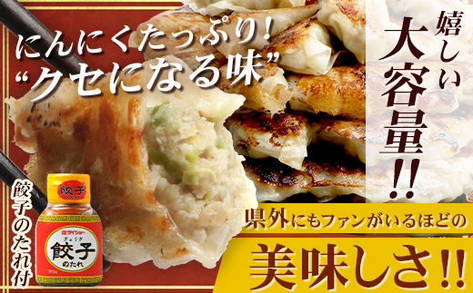 《リピーター続出！》佐多の田中肉屋 ニンニクたっぷりやみつき餃子 60個 (12個入り×5パック) TA-401 | ぎょうざ 餃子 ギョウザ 豚肉 ひき肉 にんにく スタミナ餃子 焼くだけ 簡単 小分け 大容量 手作り お惣菜 おかず 保存料不使用 冷凍 鹿児島県 南大隅町 田中精肉店