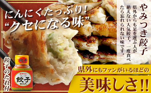 佐多の田中肉屋 スペシャルパック（餃子・コロッケ・味付唐揚げ）冷凍便 TA-405 | 国産 お惣菜 手作り 餃子 ギョーザ やみつき ニンニク から揚げ 若鶏唐揚げ 鶏肉 揚げるだけ コロッケ 大容量 おかず 弁当 おつまみ 保存料不使用 簡単調理 産地直送 鹿児島県 南大隅町 田中精肉店 