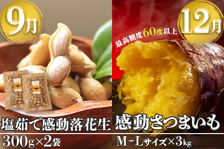 【定期便・年4回】農家の感動シリーズA(約9.1kg) FR-305｜冷凍焼き芋 ゴールドラッシュ 塩茹で落花生  紅はるか  野菜定期便